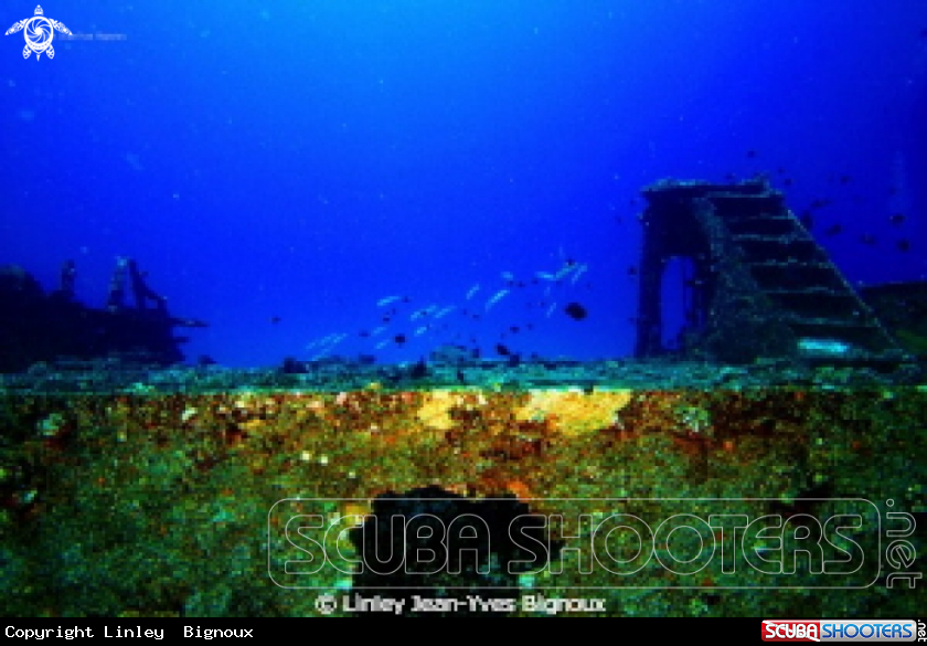 A Azuma Maru,Balaclava,Mauritius