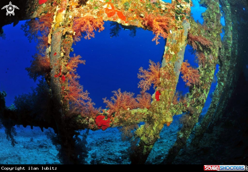 A Carnatic shipwreck