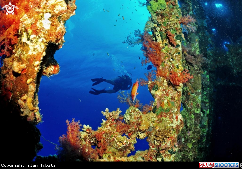 A Carnatic shipwreck