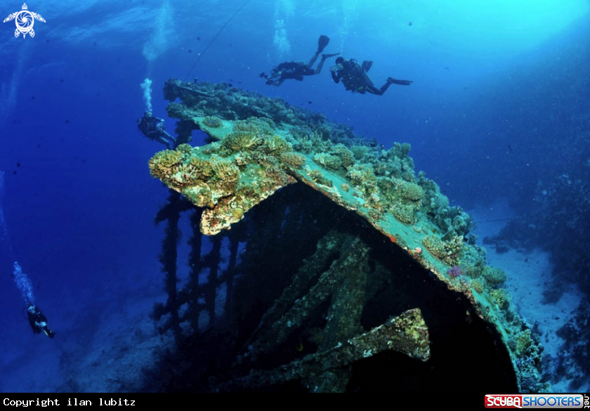 A Carnatic shipwreck