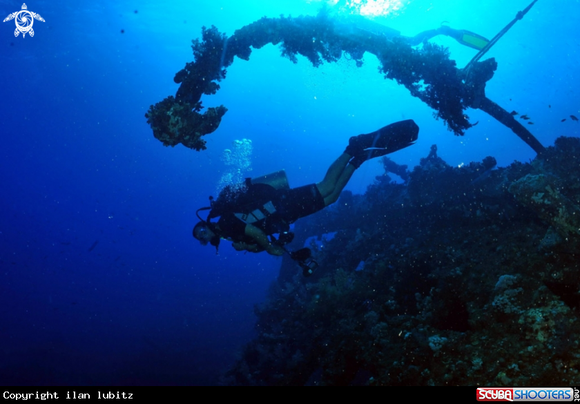 A Carnatic shipwreck