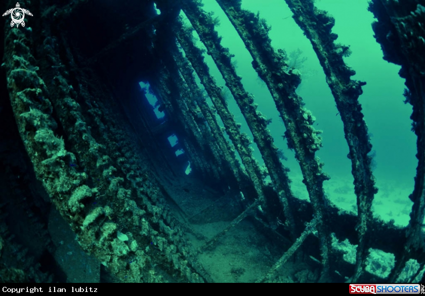 A Carnatic shipwreck
