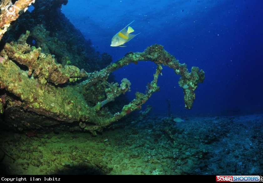 A Carnatic shipwreck