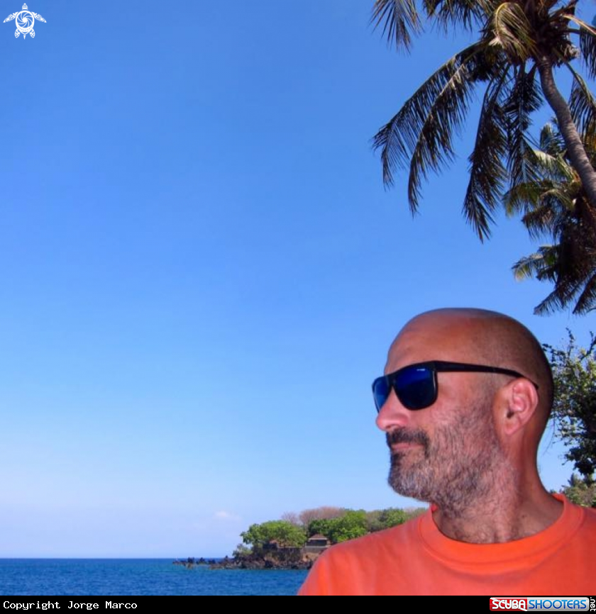 A Profile