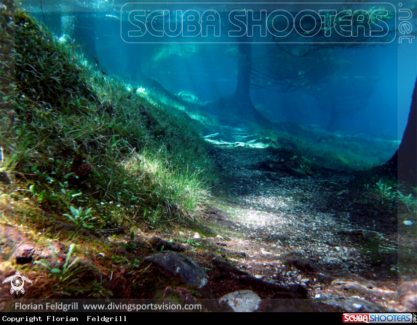A Grüner See  Austria