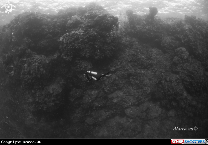 A Diver