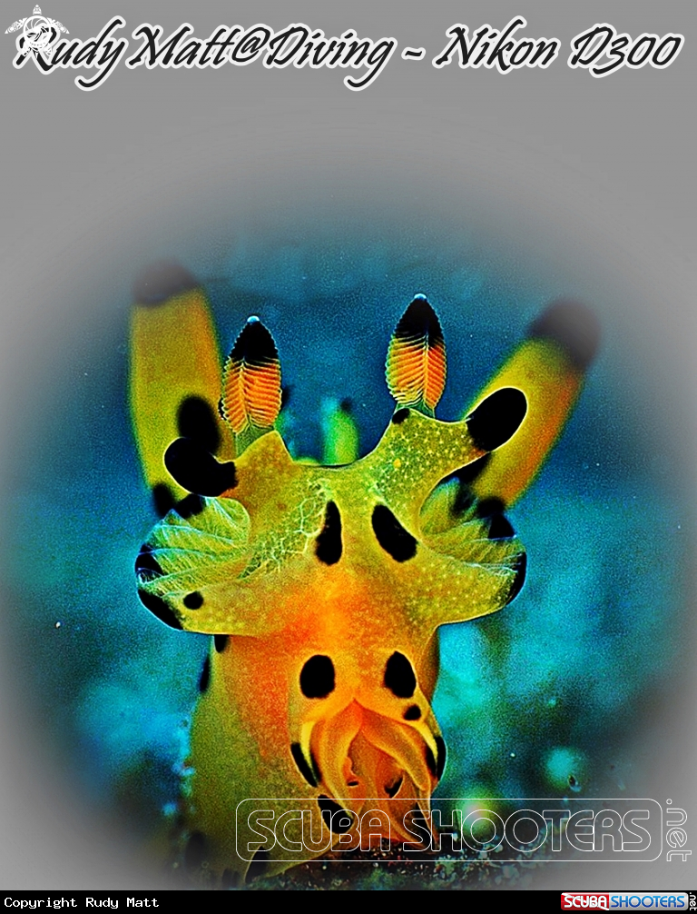 A Pikachu