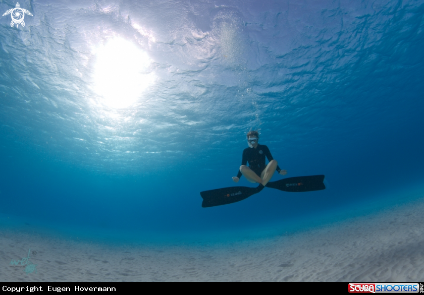 A Freddivers favorite place for Yoga, underwater beach