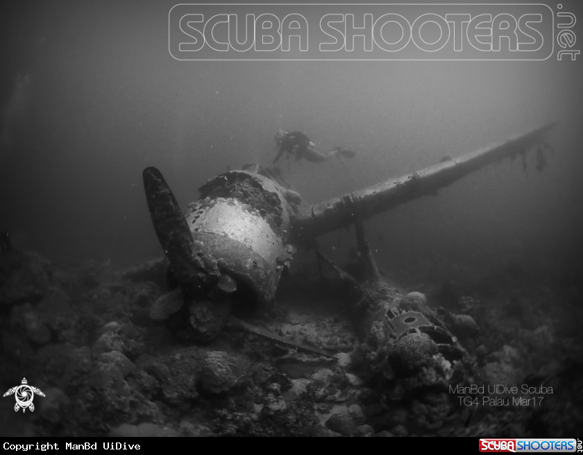A Seaplane
