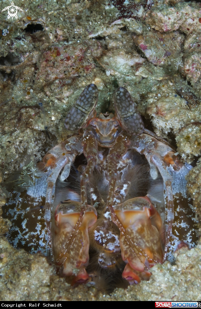 A Andaman Sea