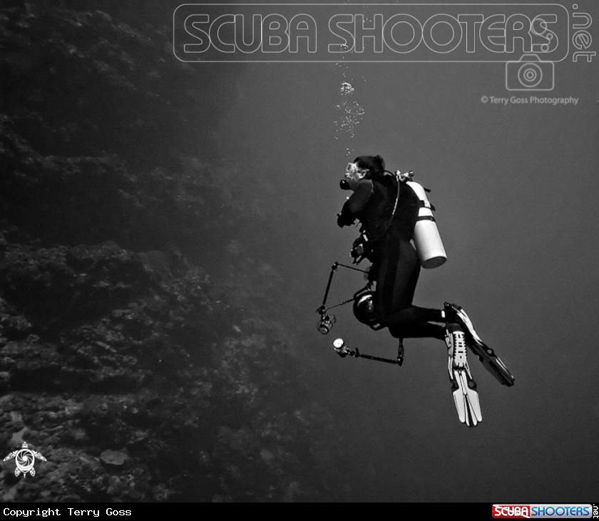 A (diver)