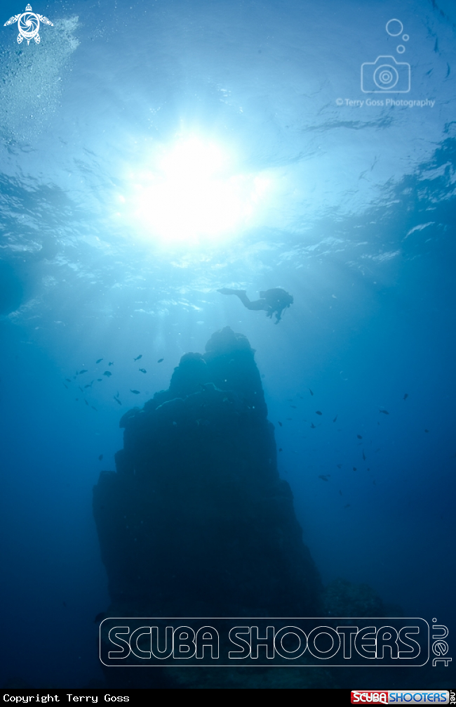 A (diver)