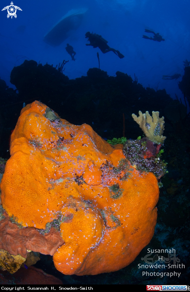 A Orange Canyon