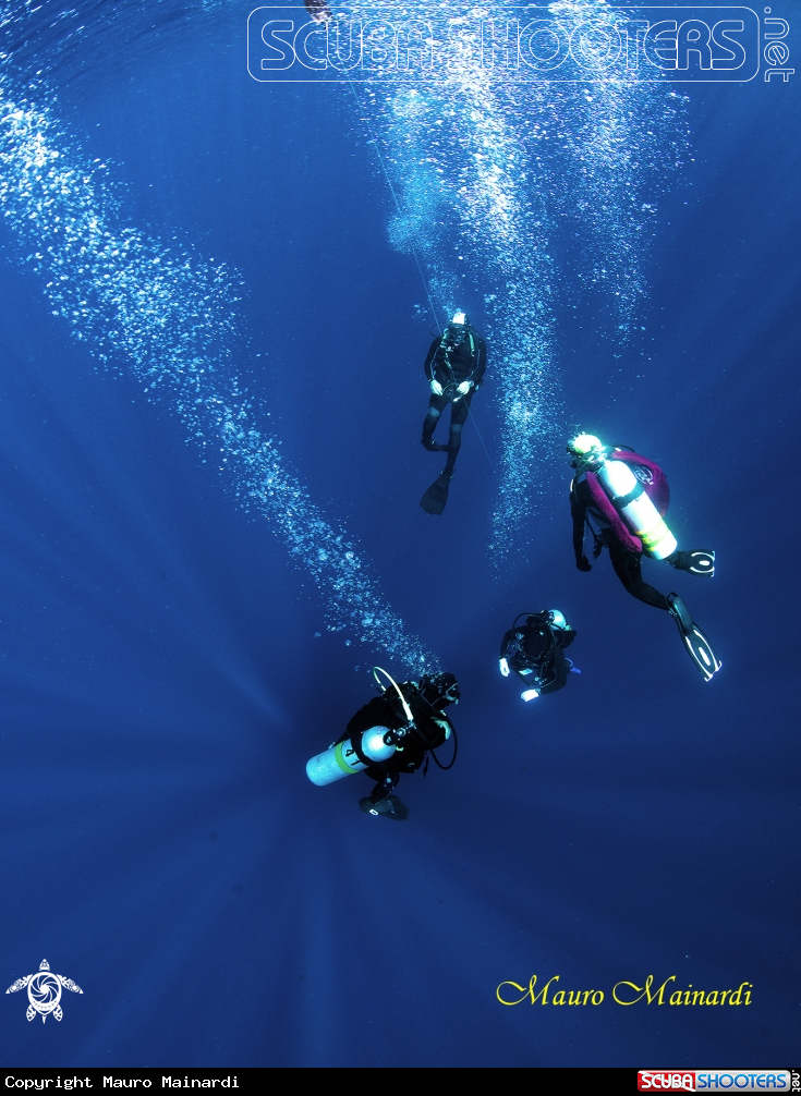 A Divers