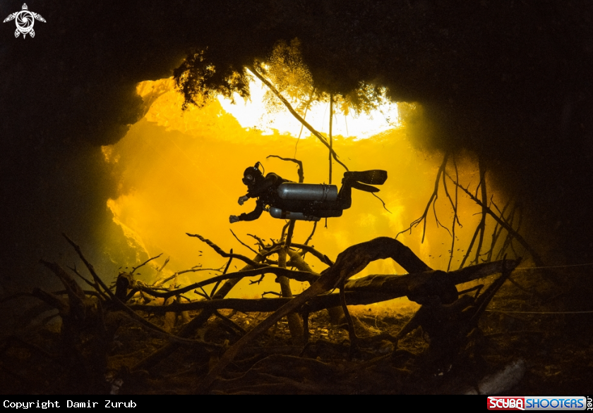 A Cenote