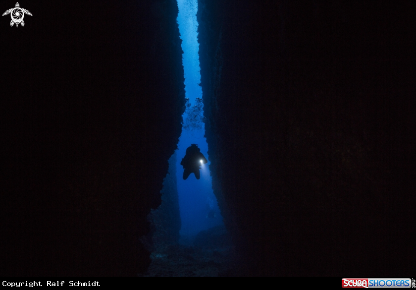 A diver
