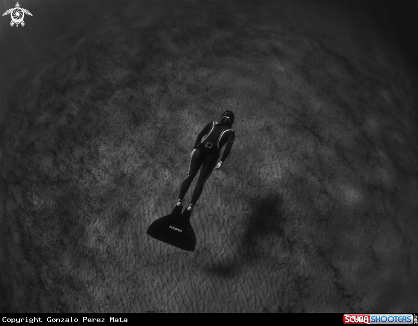 A Freediver
