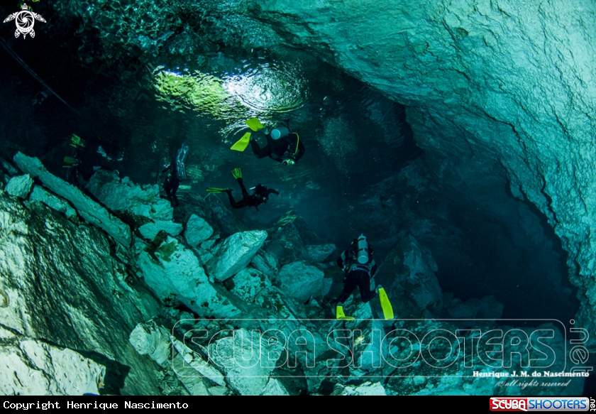 A Cenotes