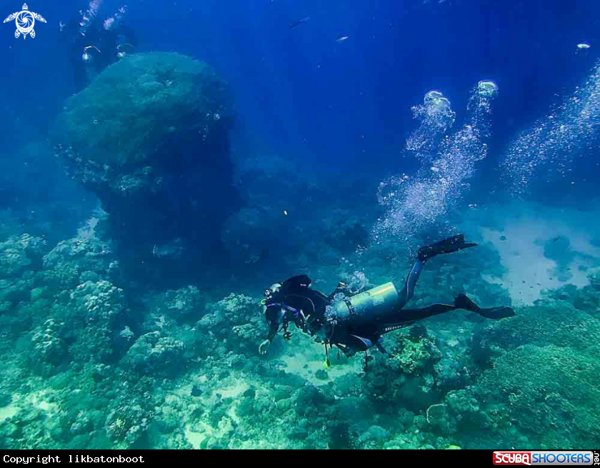 A dive buddies