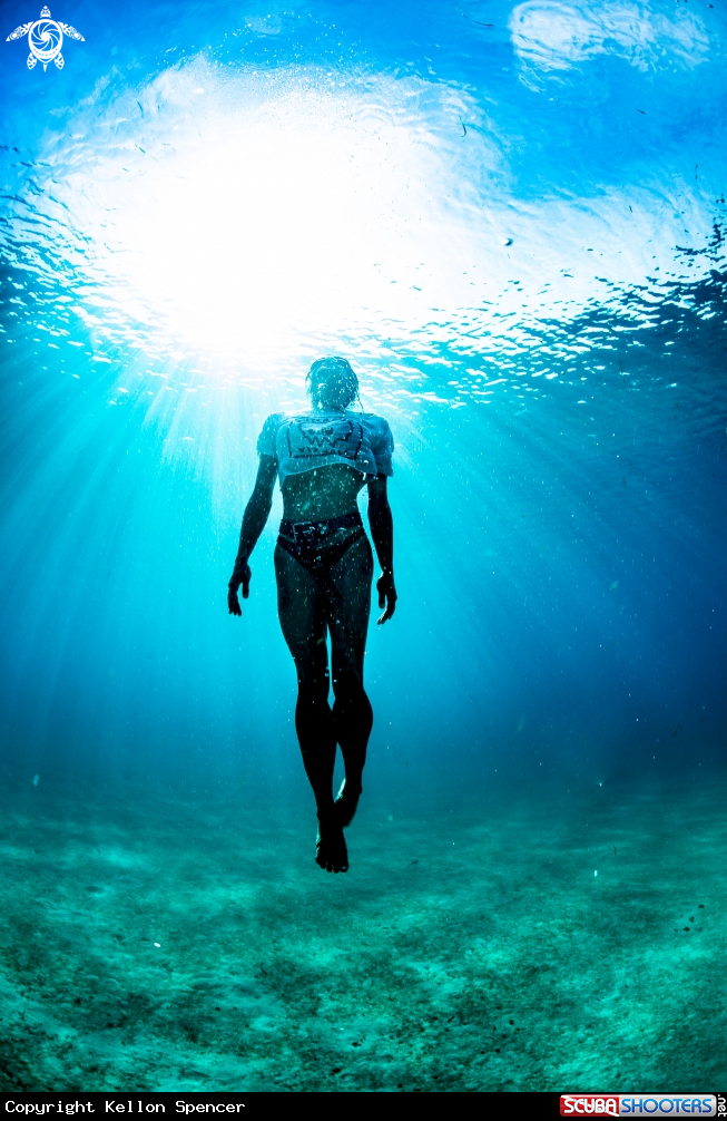 A Freediving Walk