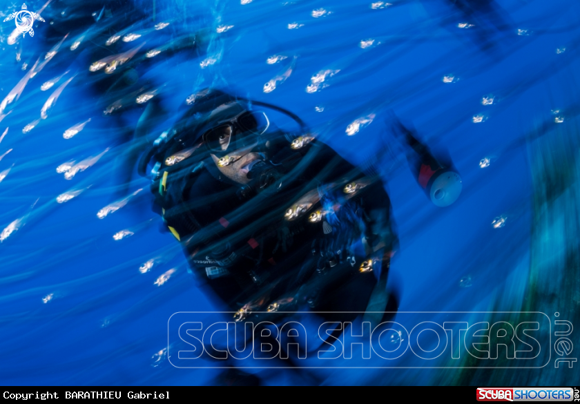 A Glassfish