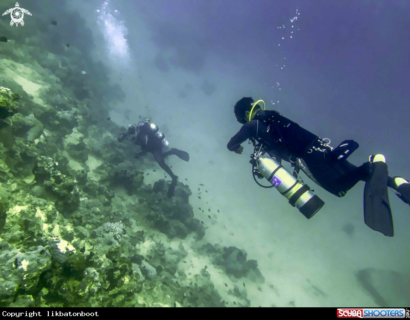 A scuba diving