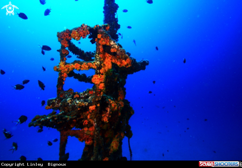 A Mast at approx 15 m of the Shipwreck Jebedh.
