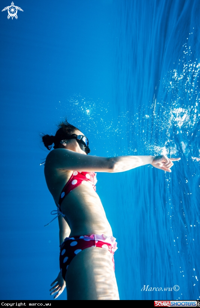 A Diver & Ocean