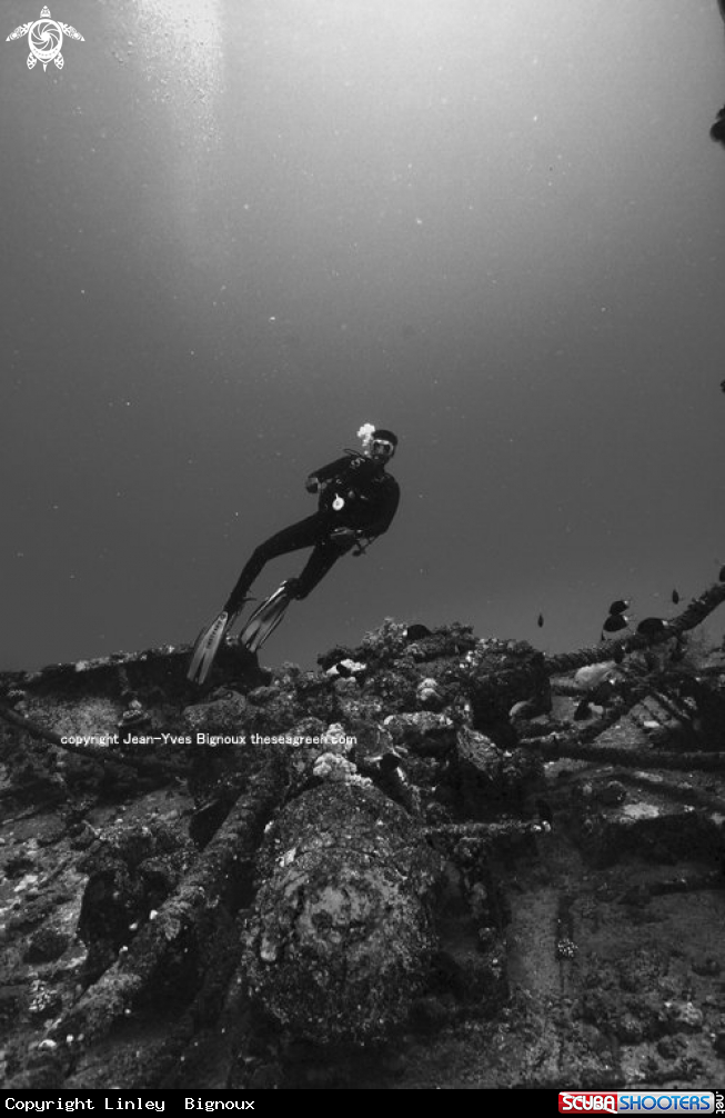 A Diver on the Silver Star shipwreck 35m Coin de Mire,Mauritius