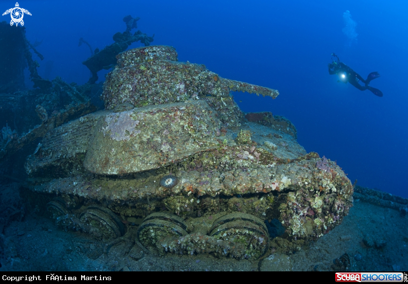 A underwater creature