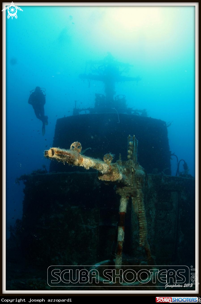 A underwater creature