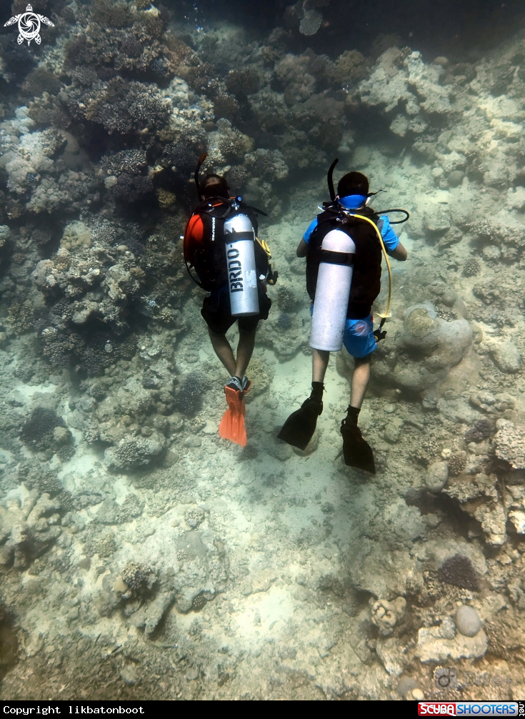 A Scuba divers