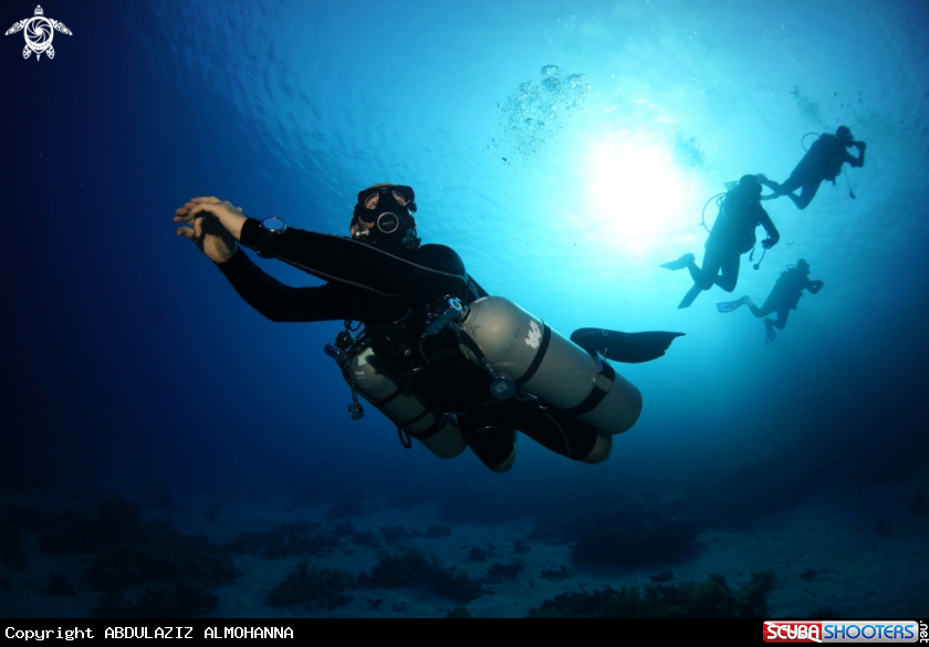 A Sidemount