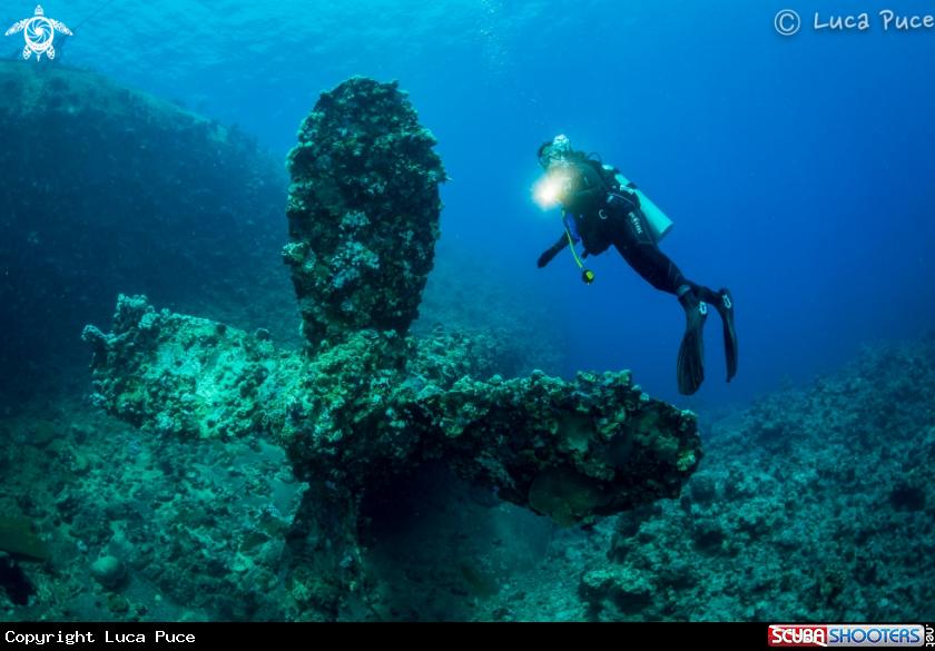 A Umbria Wreck