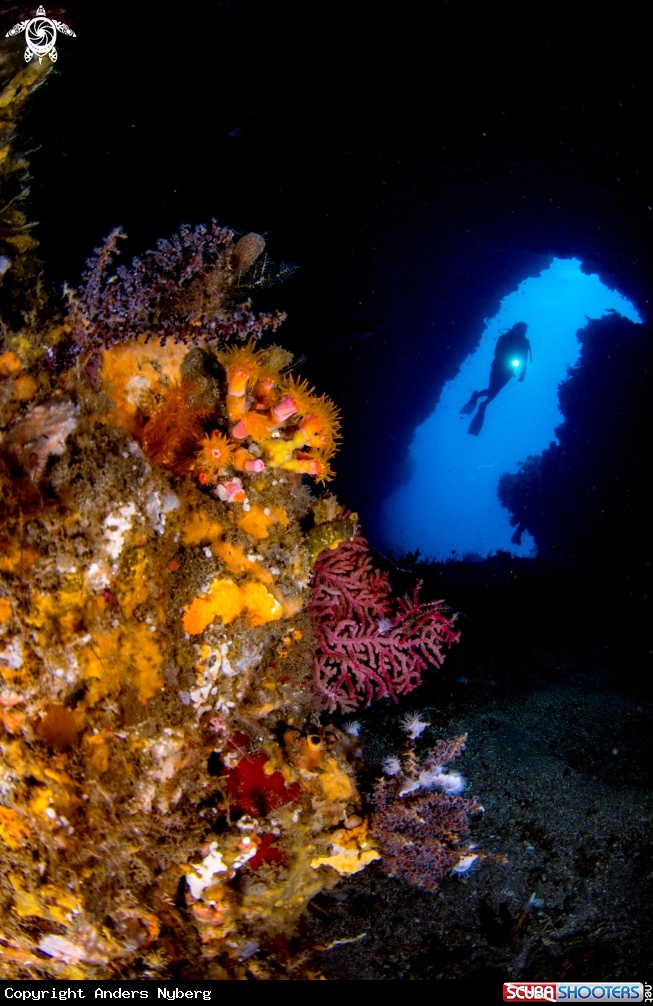 A Diver 