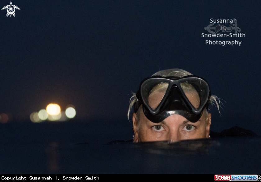 A Diver on surface