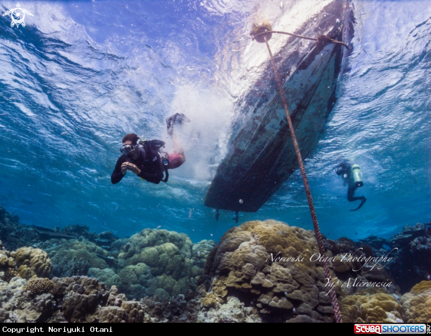 A diver