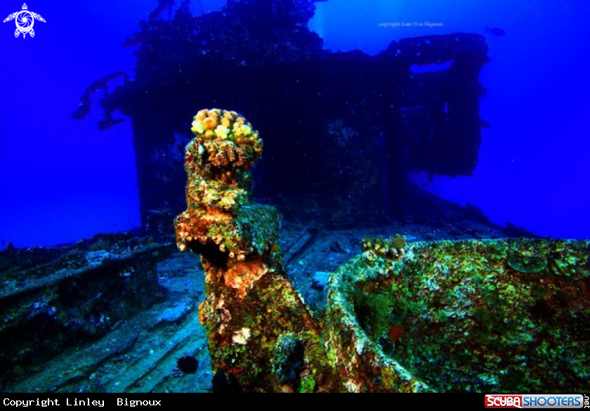 A Emily Shiwreck Mauritius