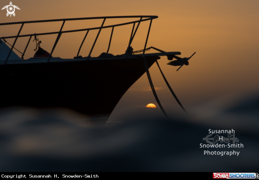 A Sunset at Sunset Divers