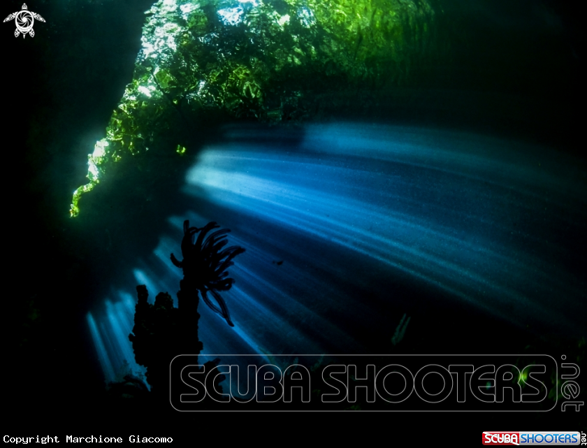 A Green cave