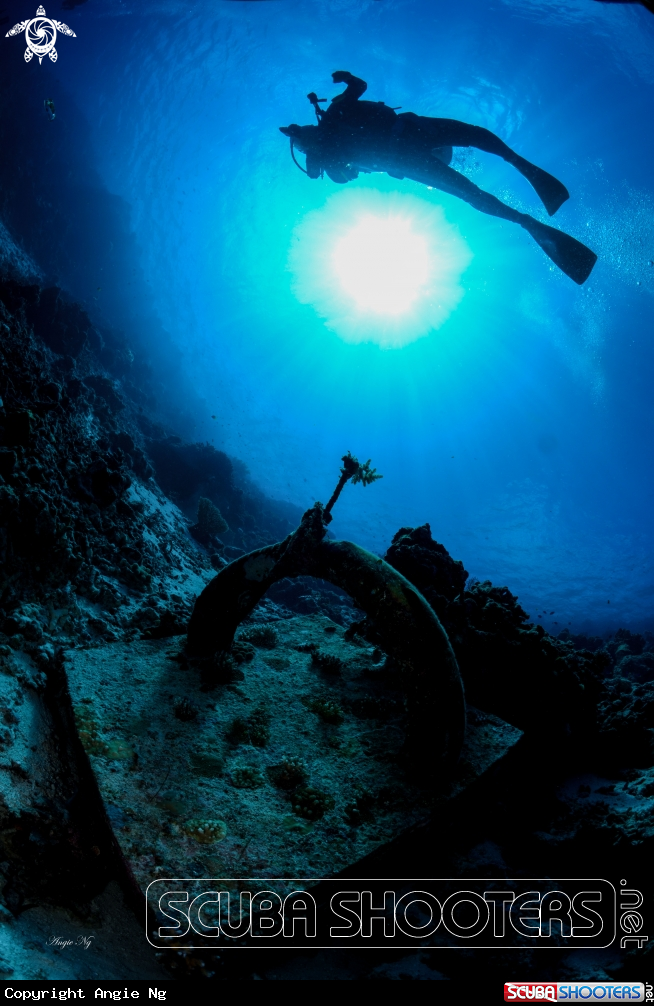 A Diver 