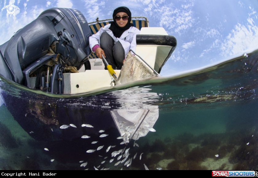A Fish Release