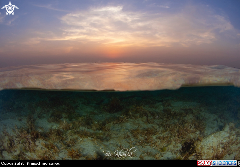 A Sunset 