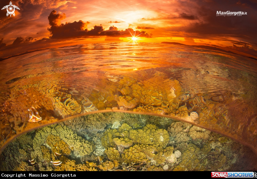A reef