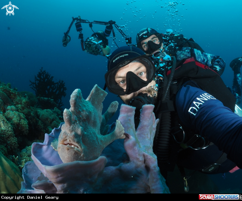 A Giant Frogfish