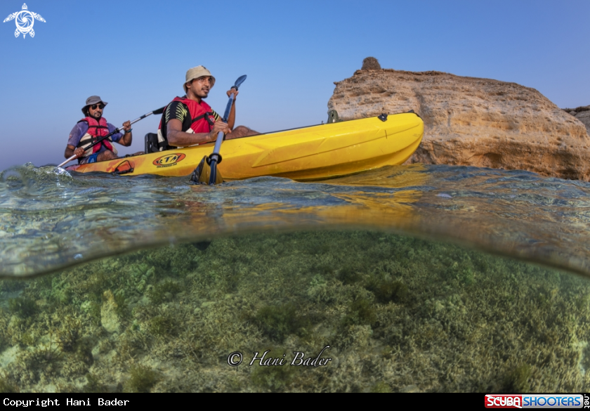 A hawar island