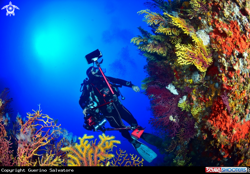 A underwater photographer