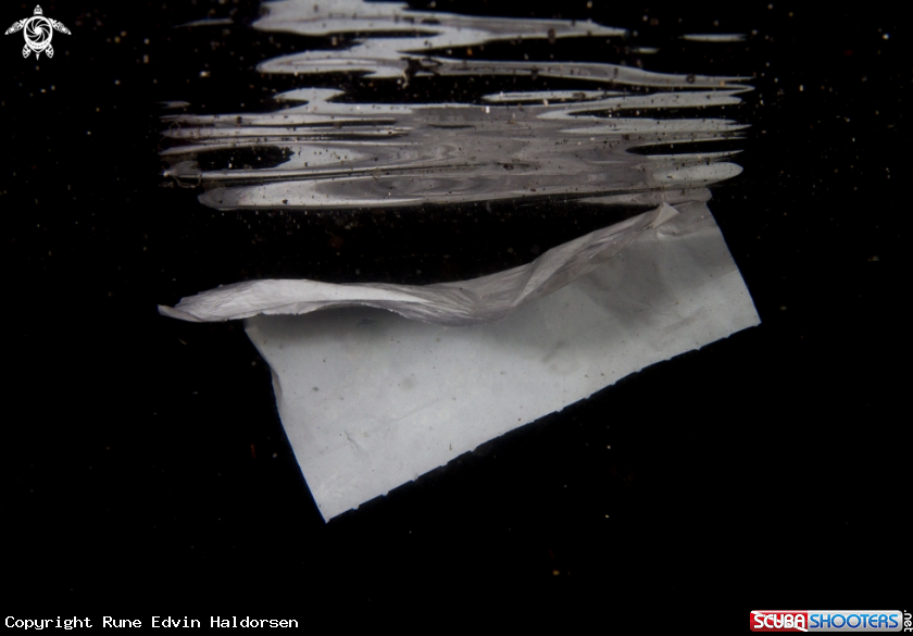 A Plastic