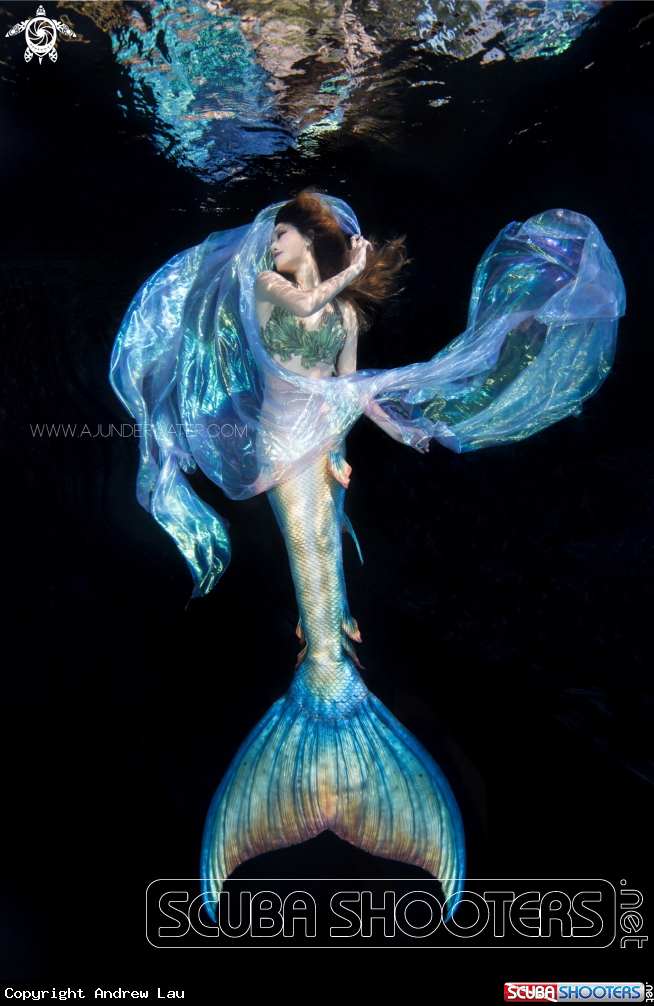 A Dark siren