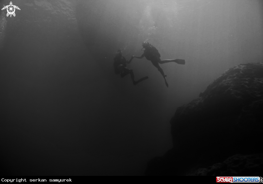 A diver
